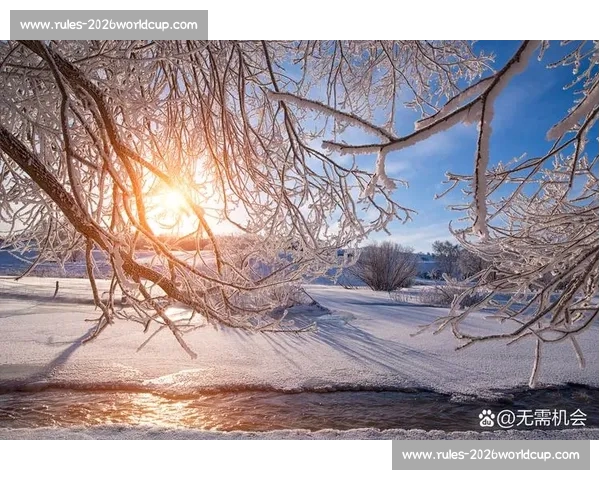 日常微光：触摸生活的温度